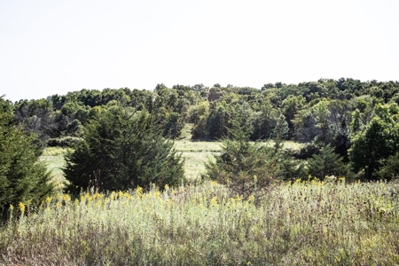 Premium Hunting in Wayne County Iowa - image 14