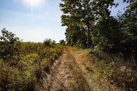 Premium Hunting in Wayne County Iowa - image 36