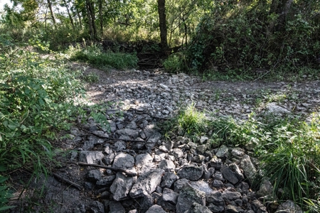 Premium Hunting in Wayne County Iowa - image 26