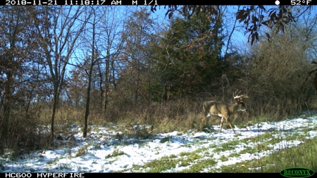 Premium Hunting in Wayne County Iowa - image 47