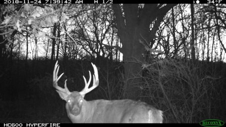 Premium Hunting in Wayne County Iowa - image 49