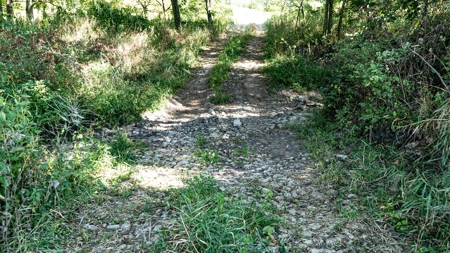 Premium Hunting in Wayne County Iowa - image 12