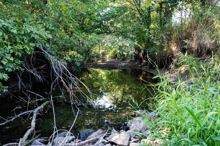 Premium Hunting in Wayne County Iowa - image 35