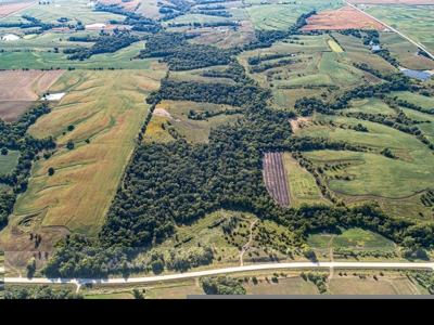 Premium Hunting in Wayne County Iowa - image 4