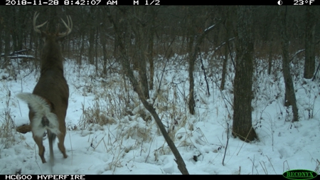 Premium Hunting in Wayne County Iowa - image 50