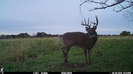 Premium Hunting in Wayne County Iowa - image 48