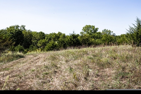 Premium Hunting in Wayne County Iowa - image 13