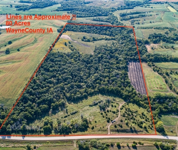 Premium Hunting in Wayne County Iowa - image 1