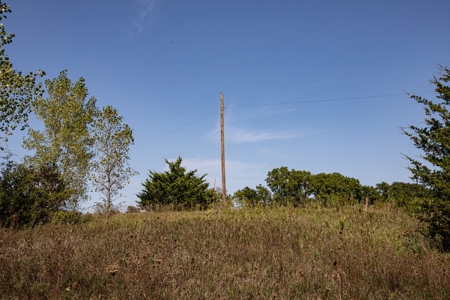 Premium Hunting in Wayne County Iowa - image 15