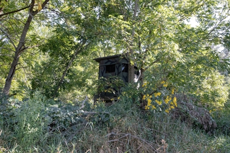 Premium Hunting in Wayne County Iowa - image 34