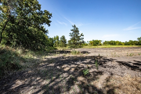 Premium Hunting in Wayne County Iowa - image 23