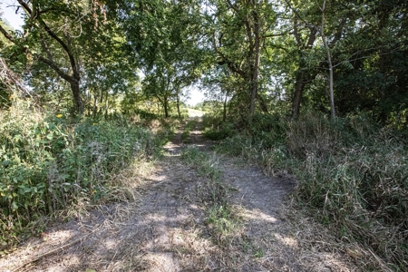 Premium Hunting in Wayne County Iowa - image 25