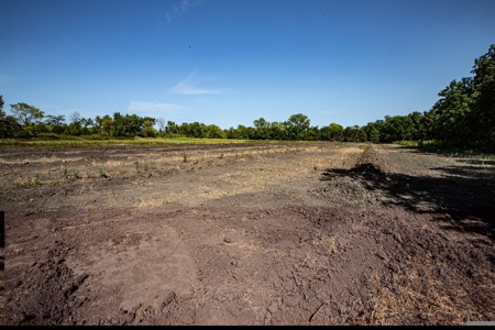 Premium Hunting in Wayne County Iowa - image 16