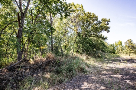 Premium Hunting in Wayne County Iowa - image 24