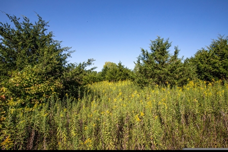 Premium Hunting in Wayne County Iowa - image 30
