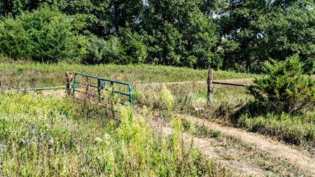 Premium Hunting in Wayne County Iowa - image 9