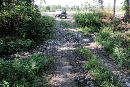 Premium Hunting in Wayne County Iowa - image 29