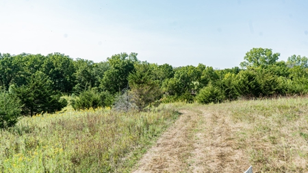 Premium Hunting in Wayne County Iowa - image 10