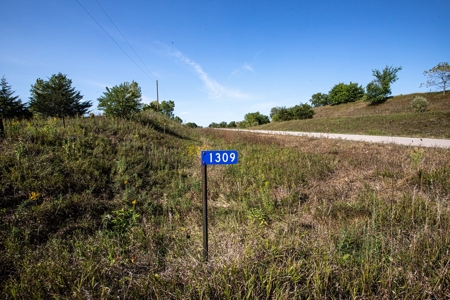 Premium Hunting in Wayne County Iowa - image 31