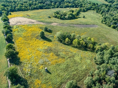 Premium Hunting in Wayne County Iowa - image 5