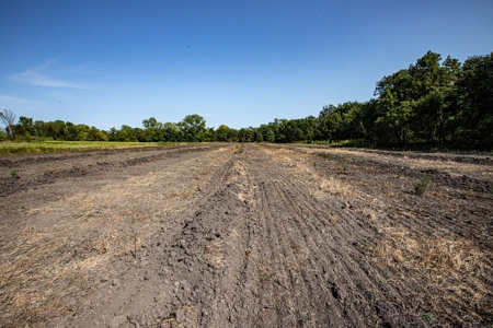 Premium Hunting in Wayne County Iowa - image 17