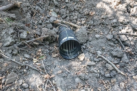 Premium Hunting in Wayne County Iowa - image 27