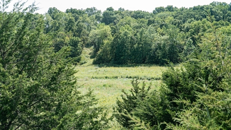 Premium Hunting in Wayne County Iowa - image 11