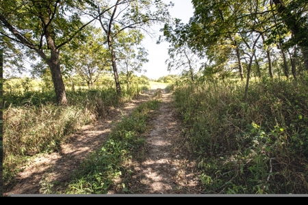 Premium Hunting in Wayne County Iowa - image 28