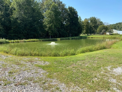 Big Cat Pay Lake Business & Residential Home For Sale in KY - image 14