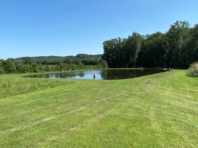 Big Cat Pay Lake Business & Residential Home For Sale in KY - image 18