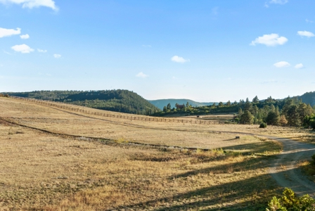Mountain retreat on 35 acres outside of Telluride, CO - image 12