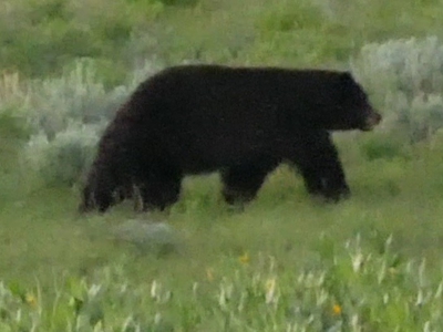 Mountain retreat on 35 acres outside of Telluride, CO - image 32