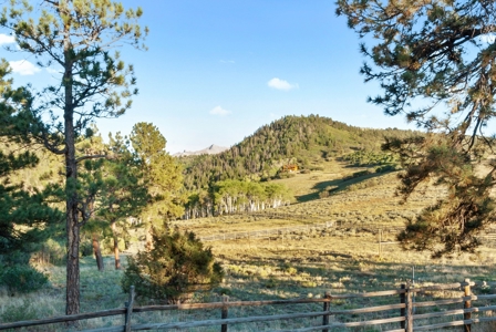 Mountain retreat on 35 acres outside of Telluride, CO - image 16