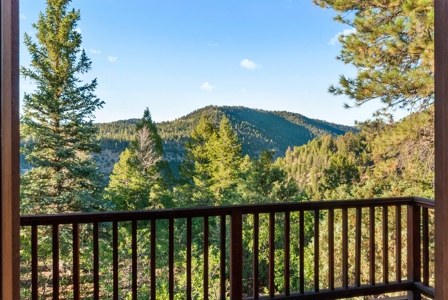 Mountain retreat on 35 acres outside of Telluride, CO - image 8