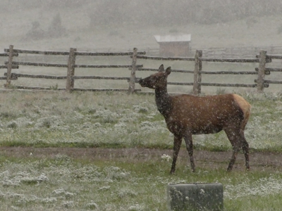 Mountain retreat on 35 acres outside of Telluride, CO - image 42