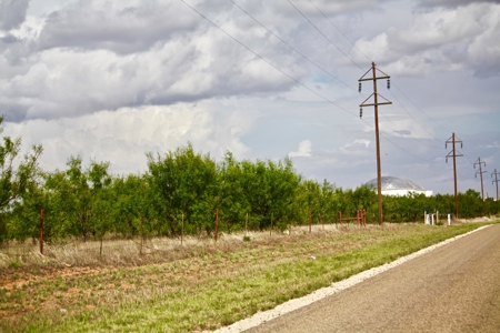 53 Acres Of Prime Location - image 6