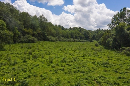 Farmhouse for Sale with River Frontage in Floyd VA - image 5