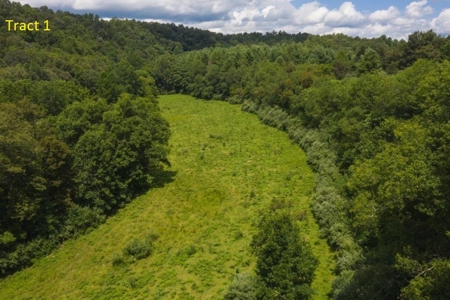 Farmhouse for Sale with River Frontage in Floyd VA - image 6