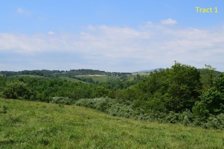 Farmhouse for Sale with River Frontage in Floyd VA - image 29