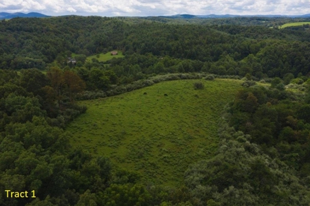 Farmhouse for Sale with River Frontage in Floyd VA - image 7