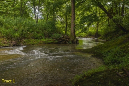 Farmhouse for Sale with River Frontage in Floyd VA - image 2