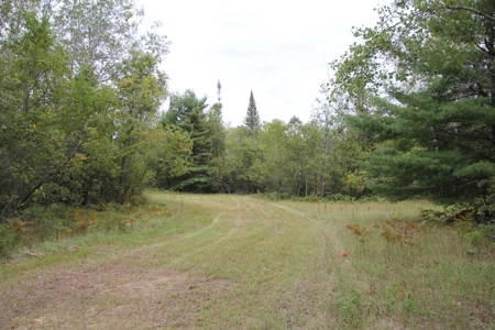 Prime Hunting Land For Sale, Montmorency County, Atlanta, Mi - image 43