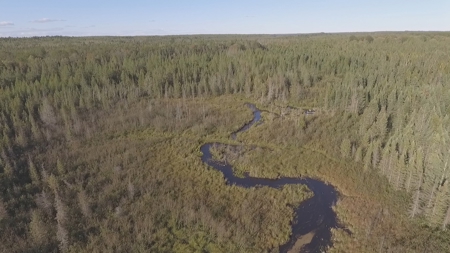 Prime Hunting Land For Sale, Montmorency County, Atlanta, Mi - image 1