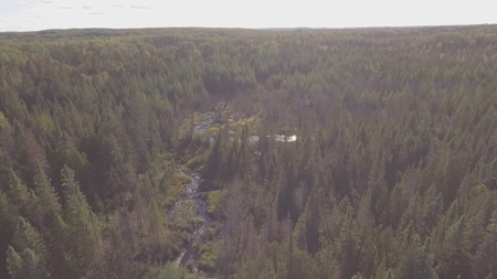 Prime Hunting Land For Sale, Montmorency County, Atlanta, Mi - image 3