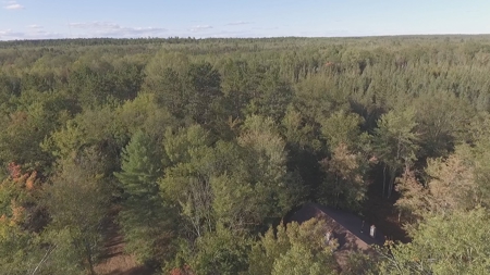 Prime Hunting Land For Sale, Montmorency County, Atlanta, Mi - image 4
