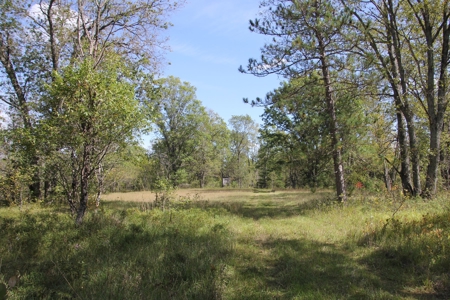 Prime Hunting Land For Sale, Montmorency County, Atlanta, Mi - image 41