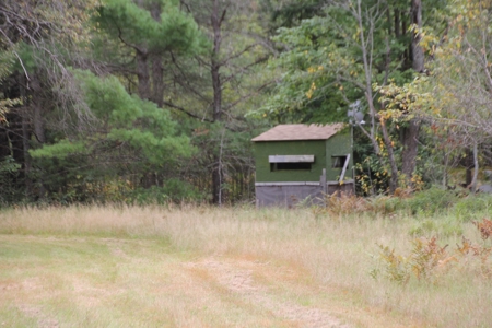 Prime Hunting Land For Sale, Montmorency County, Atlanta, Mi - image 44