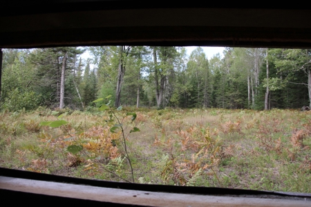 Prime Hunting Land For Sale, Montmorency County, Atlanta, Mi - image 46
