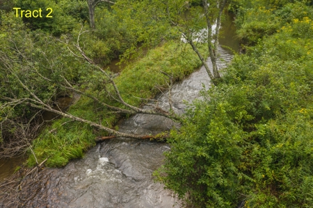 Land for Sale on Little River in Floyd VA! - image 4