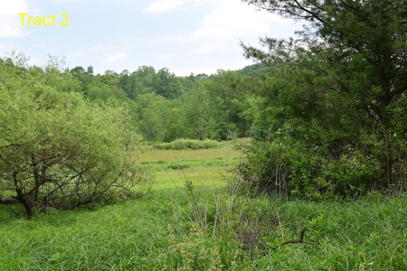 Land for Sale on Little River in Floyd VA! - image 7